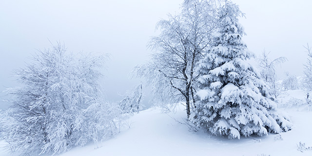 Sierra de las Nieves Málaga