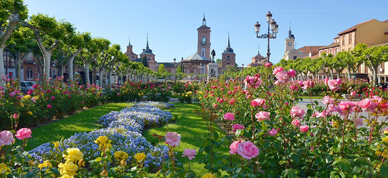 Excursión Alcalá de Henares